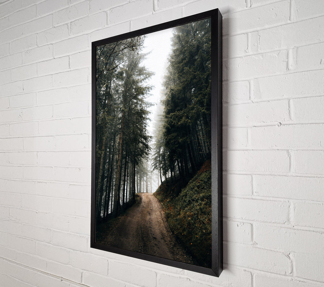  A Canvas Print of Green Foggy Path Canvas Wall Art