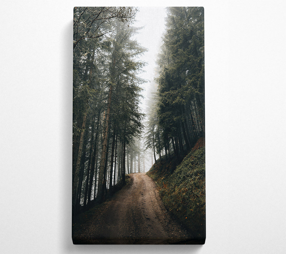  A Canvas Print of Green Foggy Path Canvas Wall Art