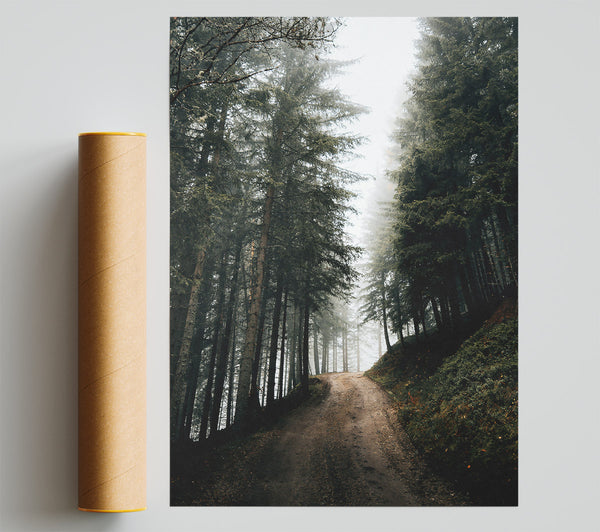 Green Foggy Path Poster