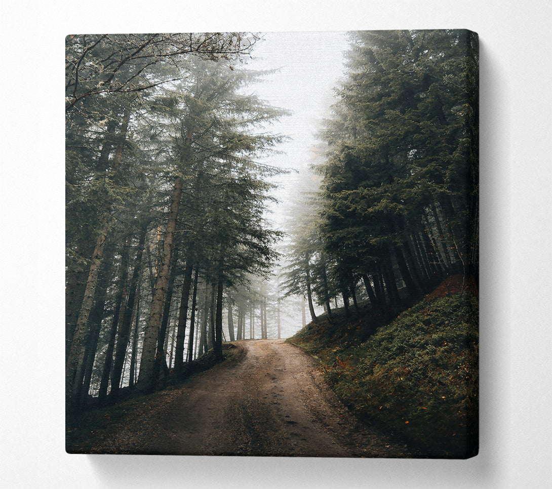  A Canvas Print of Green Foggy Path Canvas Wall Art