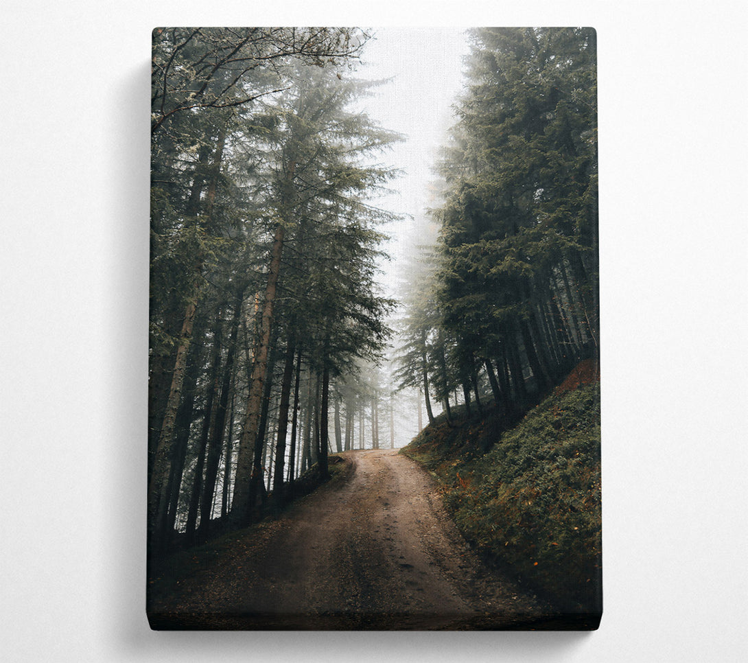  A Canvas Print of Green Foggy Path Canvas Wall Art