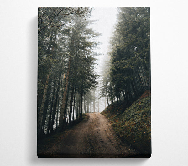  A Canvas Print of Green Foggy Path Canvas Wall Art