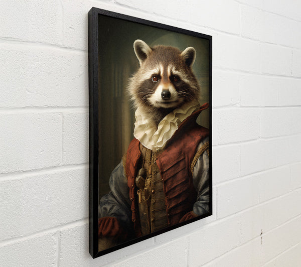 Racoon Renaissance