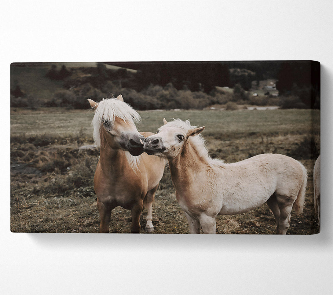  A Canvas Print of Golden Field Friends Canvas Print