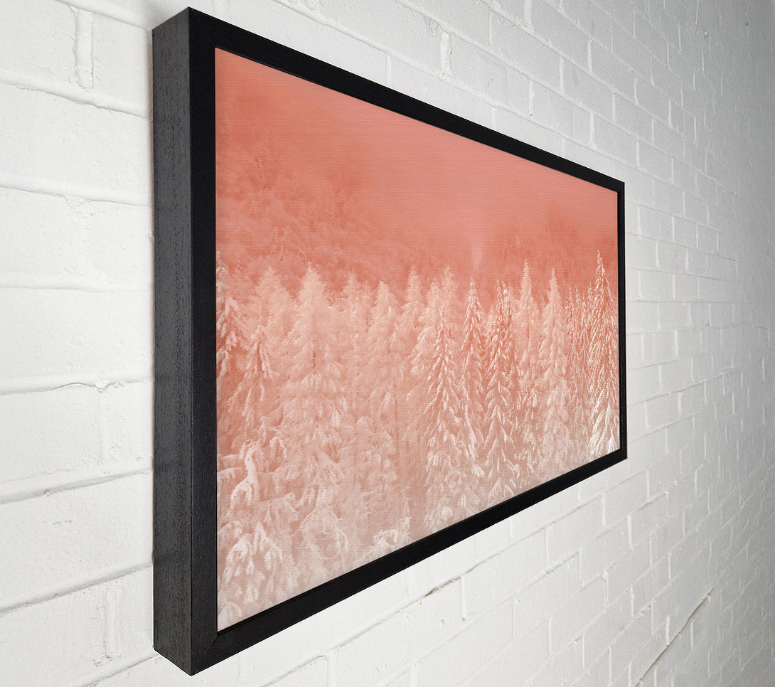  A Canvas Print of Salmon Forest Dawn Canvas Art