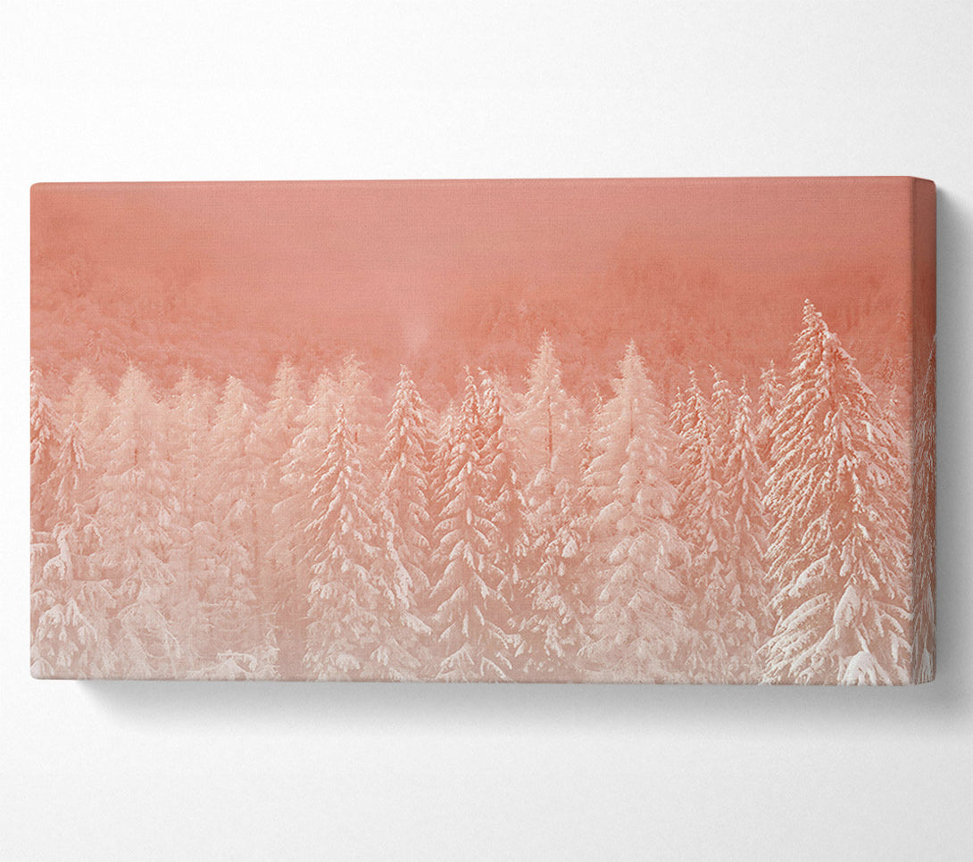  A Canvas Print of Salmon Forest Dawn Canvas Art