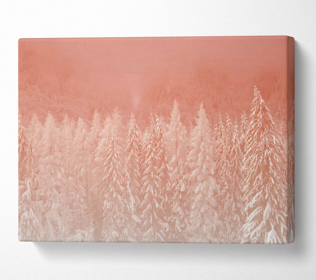  A Canvas Print of Salmon Forest Dawn Canvas Art