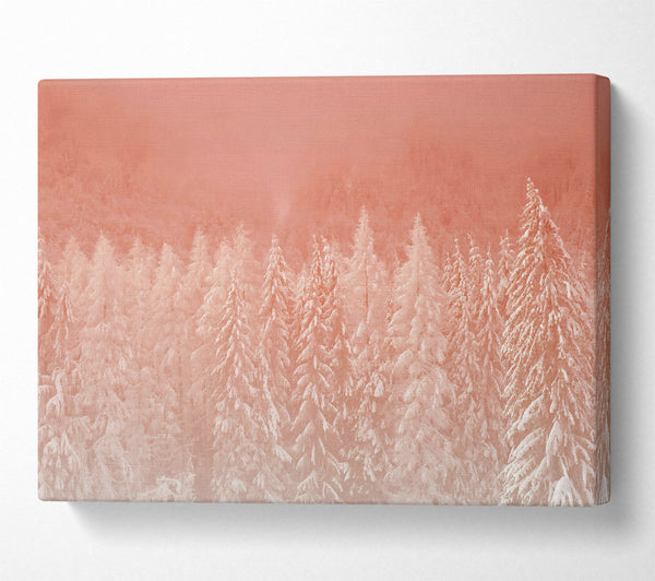  A Canvas Print of Salmon Forest Dawn Canvas Art