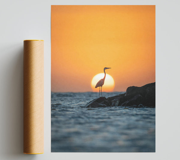 Orange Sunset Heron Poster
