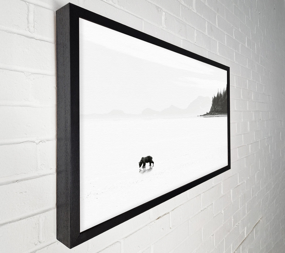  A Canvas Print of White Shore Solitude Canvas Print