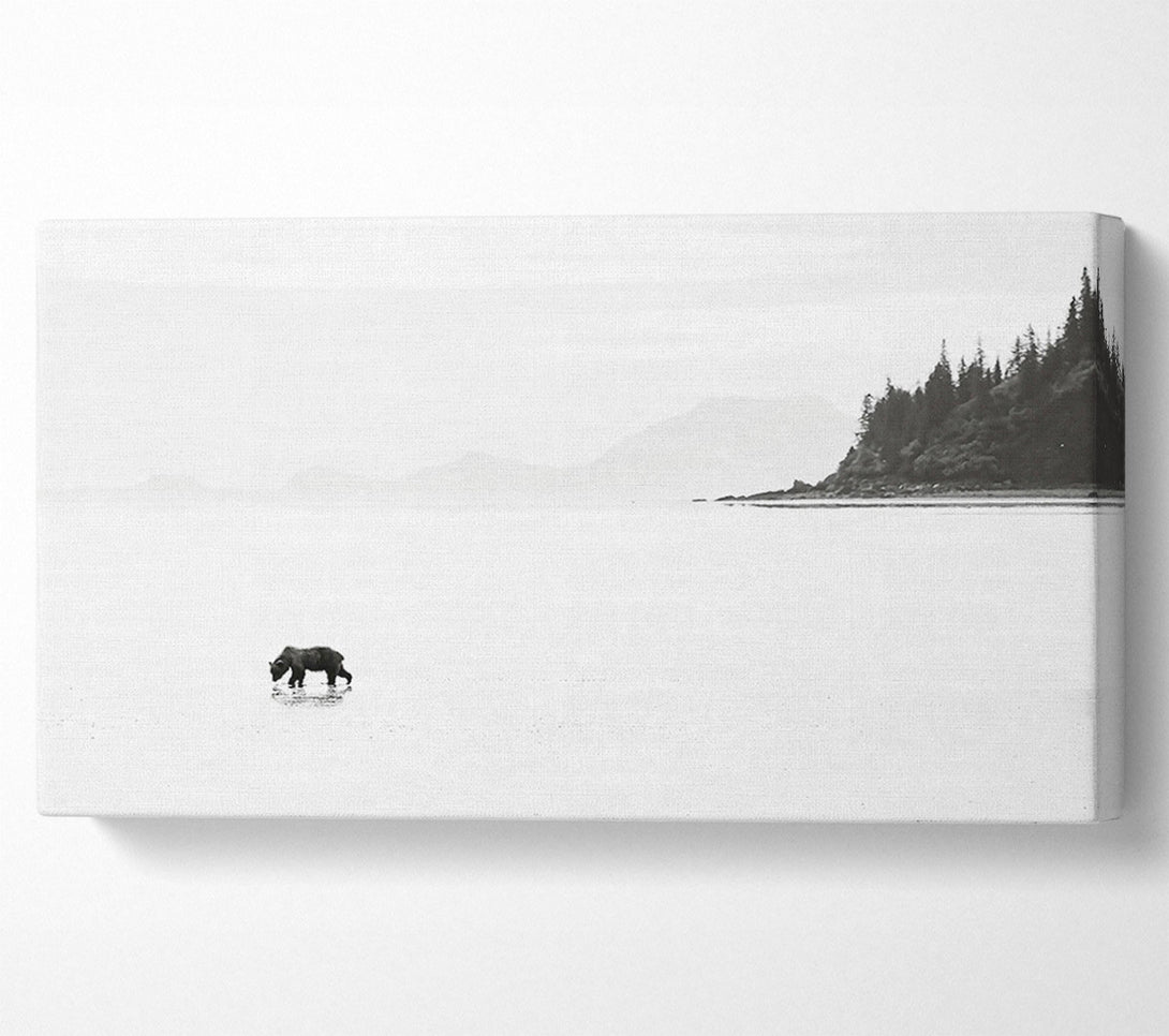  A Canvas Print of White Shore Solitude Canvas Print