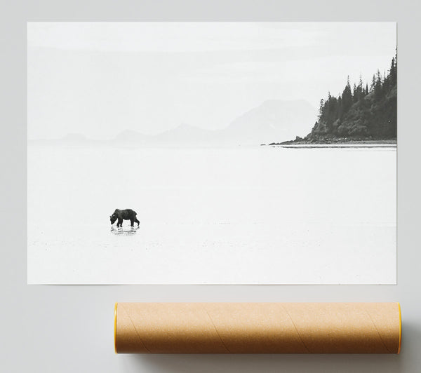 White Shore Solitude Giclee Print