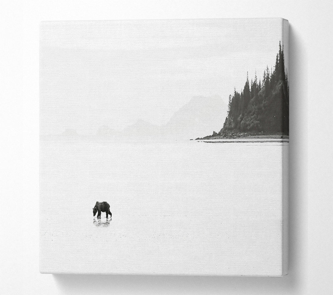  A Canvas Print of White Shore Solitude Canvas Print