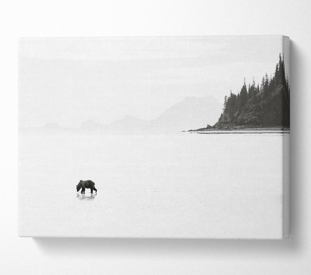  A Canvas Print of White Shore Solitude Canvas Print