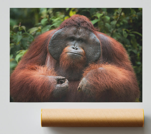 The Orange Gaze Print