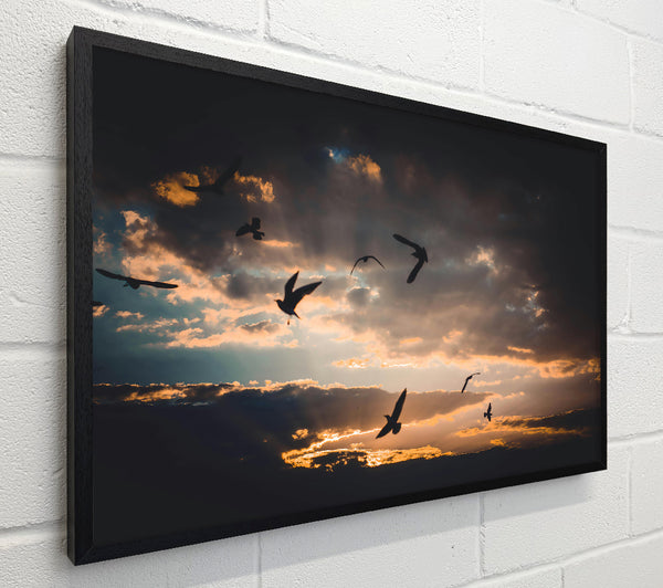 Golden Sky Flight