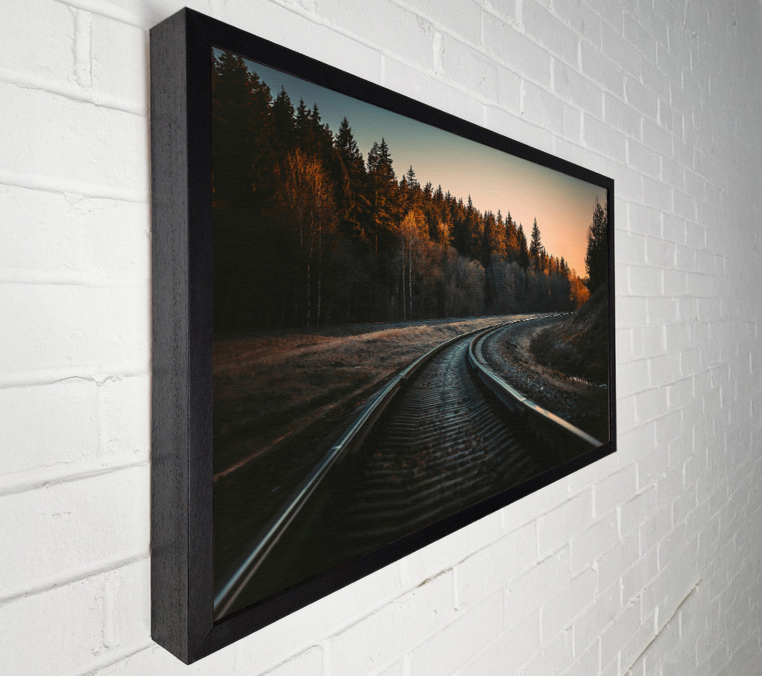  A Canvas Print of Golden Forest Tracks Canvas Wall Art
