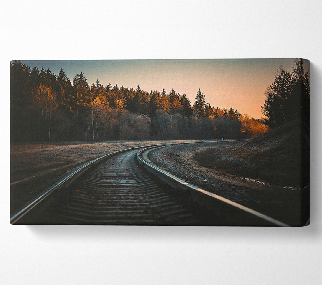  A Canvas Print of Golden Forest Tracks Canvas Wall Art