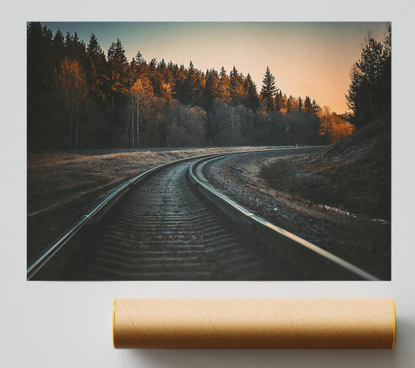 Golden Forest Tracks Print