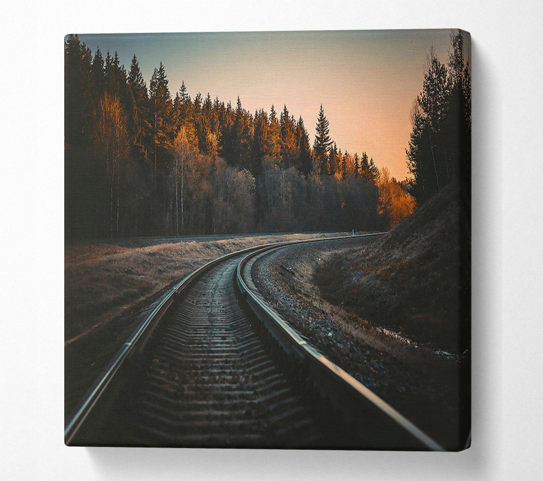  A Canvas Print of Golden Forest Tracks Canvas Wall Art