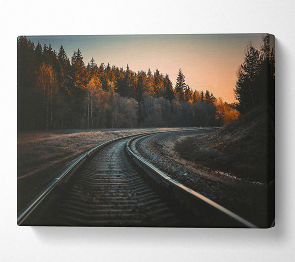  A Canvas Print of Golden Forest Tracks Canvas Wall Art