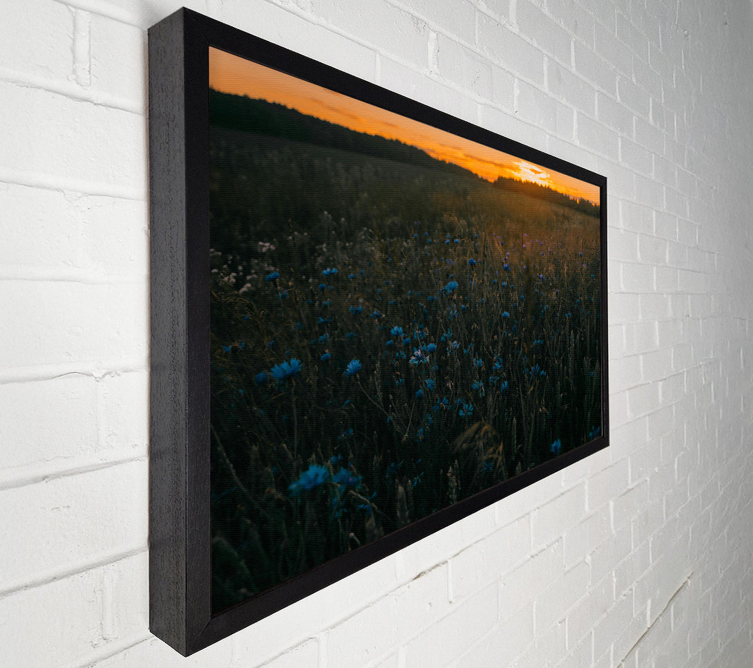  A Canvas Print of Blue Flowers At Dusk Canvas Art