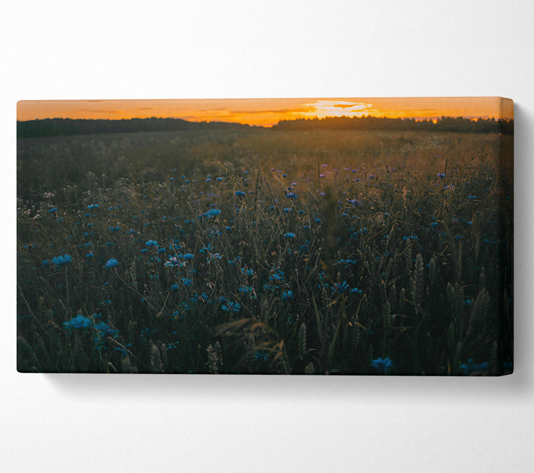  A Canvas Print of Blue Flowers At Dusk Canvas Art