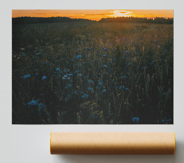 Blue Flowers At Dusk Giclee Print
