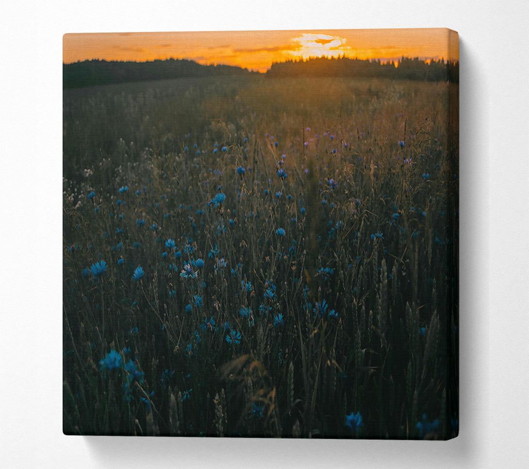  A Canvas Print of Blue Flowers At Dusk Canvas Art