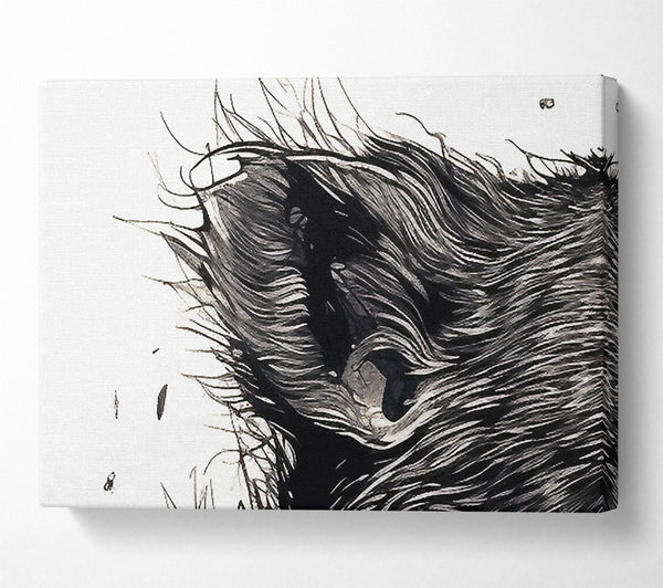  A Canvas Print of Rat Scream Canvas Wall Art
