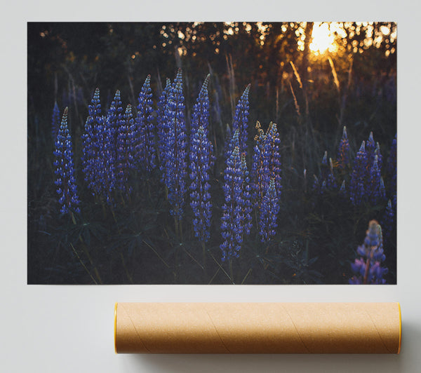 Twilight Blue Blooms Poster