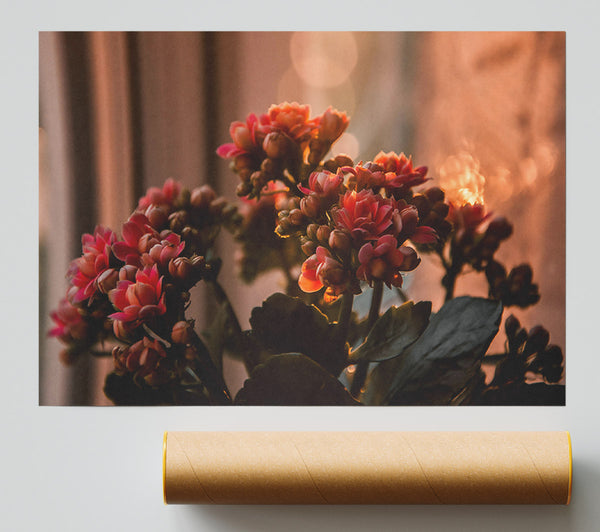 Pink Flowers In Bloom Print
