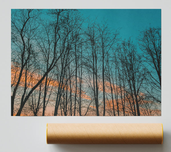 Silhouettes In Teal Sky Poster
