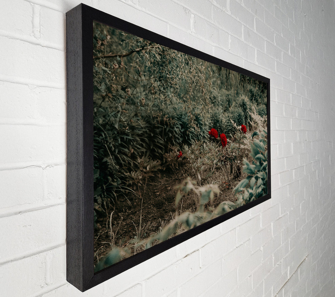  A Canvas Print of Red Blooms In Green Canvas Print