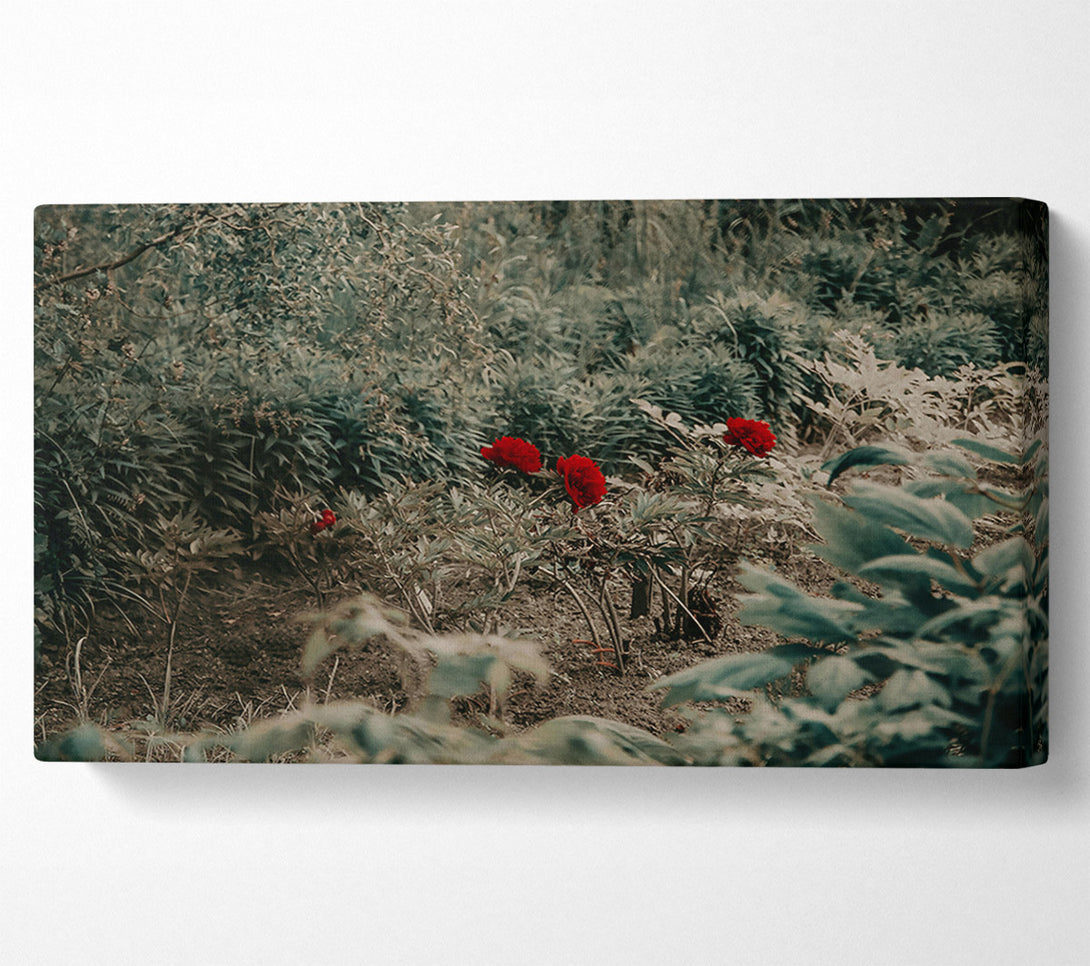  A Canvas Print of Red Blooms In Green Canvas Print