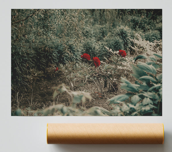 Red Blooms In Green Giclee Print