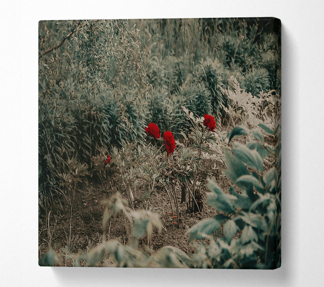  A Canvas Print of Red Blooms In Green Canvas Print