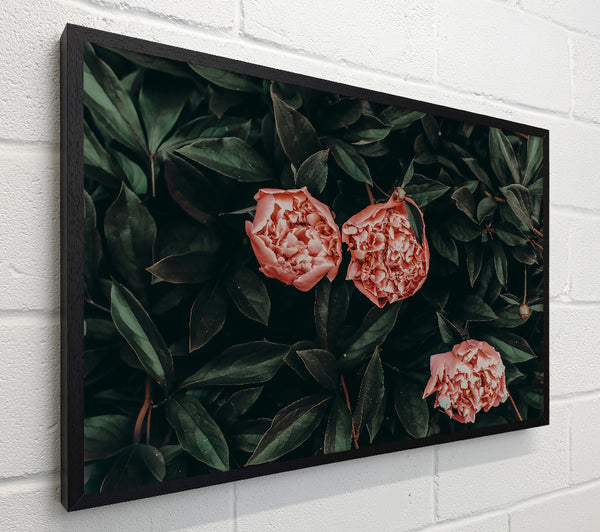 Blush Blooms In Green