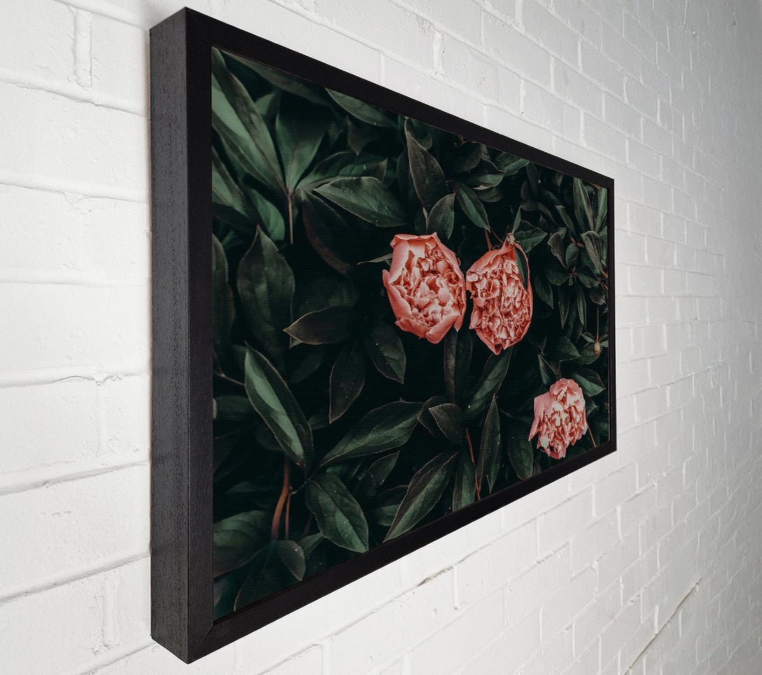  A Canvas Print of Blush Blooms In Green Canvas Wall Art