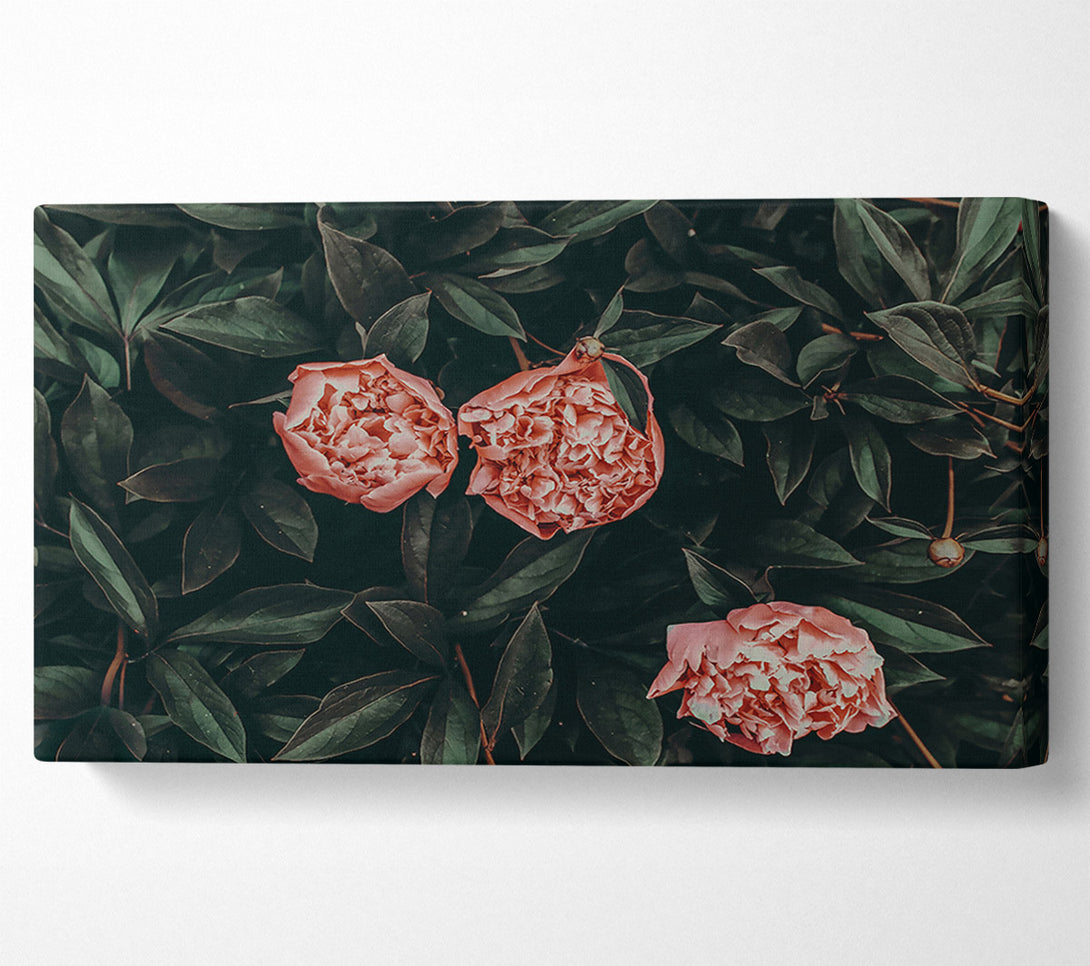  A Canvas Print of Blush Blooms In Green Canvas Wall Art