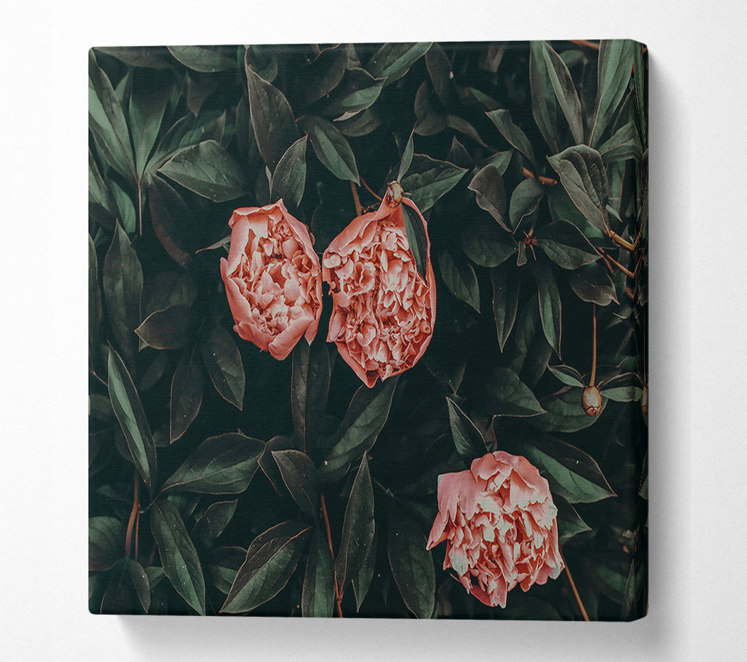  A Canvas Print of Blush Blooms In Green Canvas Wall Art