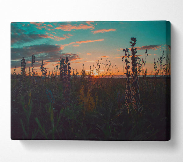  A Canvas Print of Orange Sunset Silhouettes Canvas Print