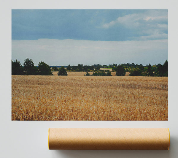 Golden Field Horizon Giclee Print