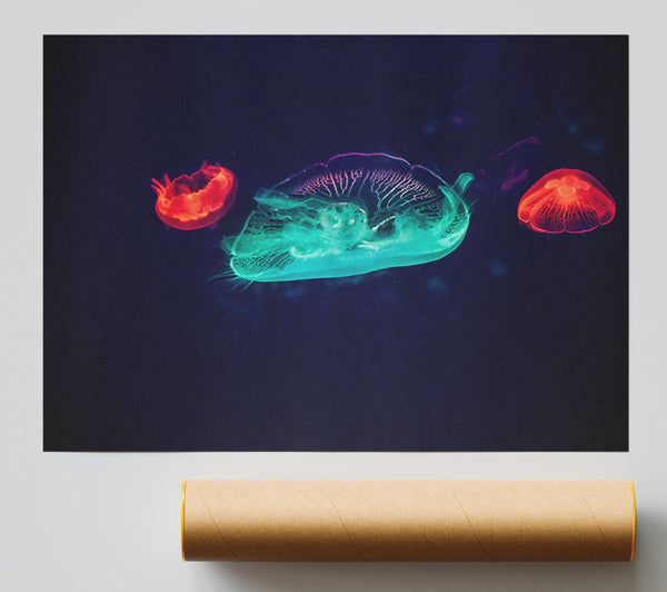 Aqua And Red Jellies Giclee Print
