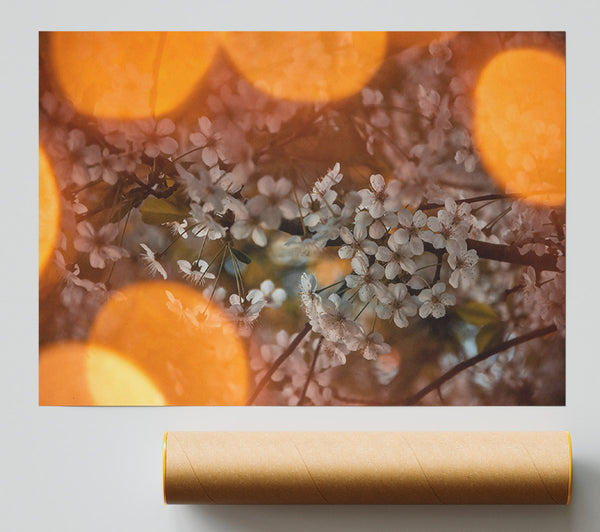 Orange Bloom Glow Print
