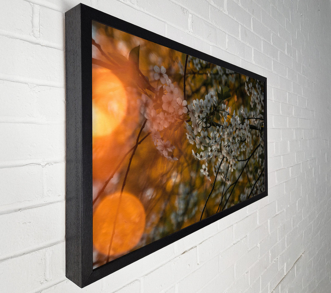  A Canvas Print of Golden Bloom Canvas Art