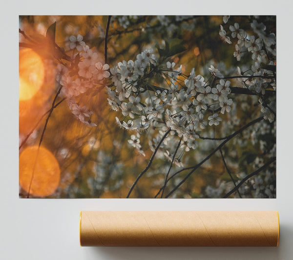 Golden Bloom Giclee Print