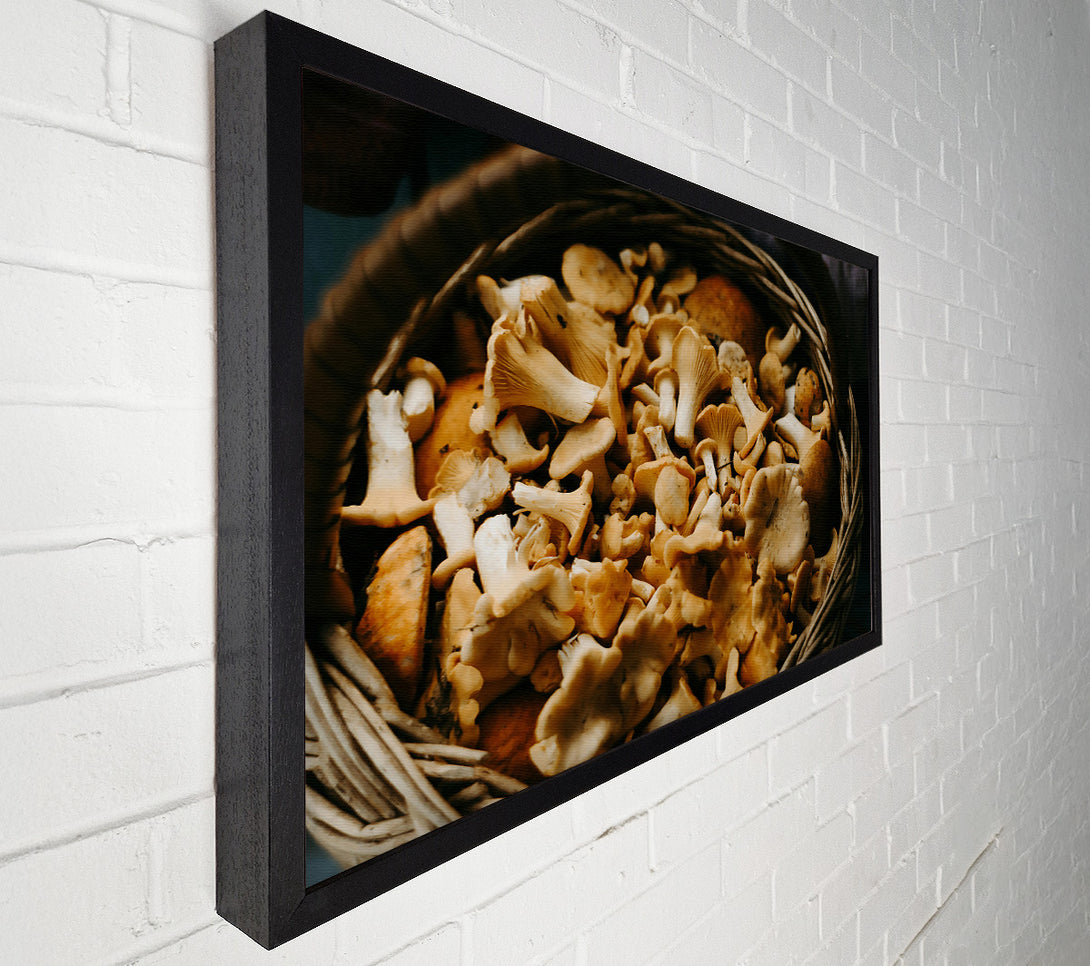 A Canvas Print of Golden Chanterelle Harvest Canvas Art
