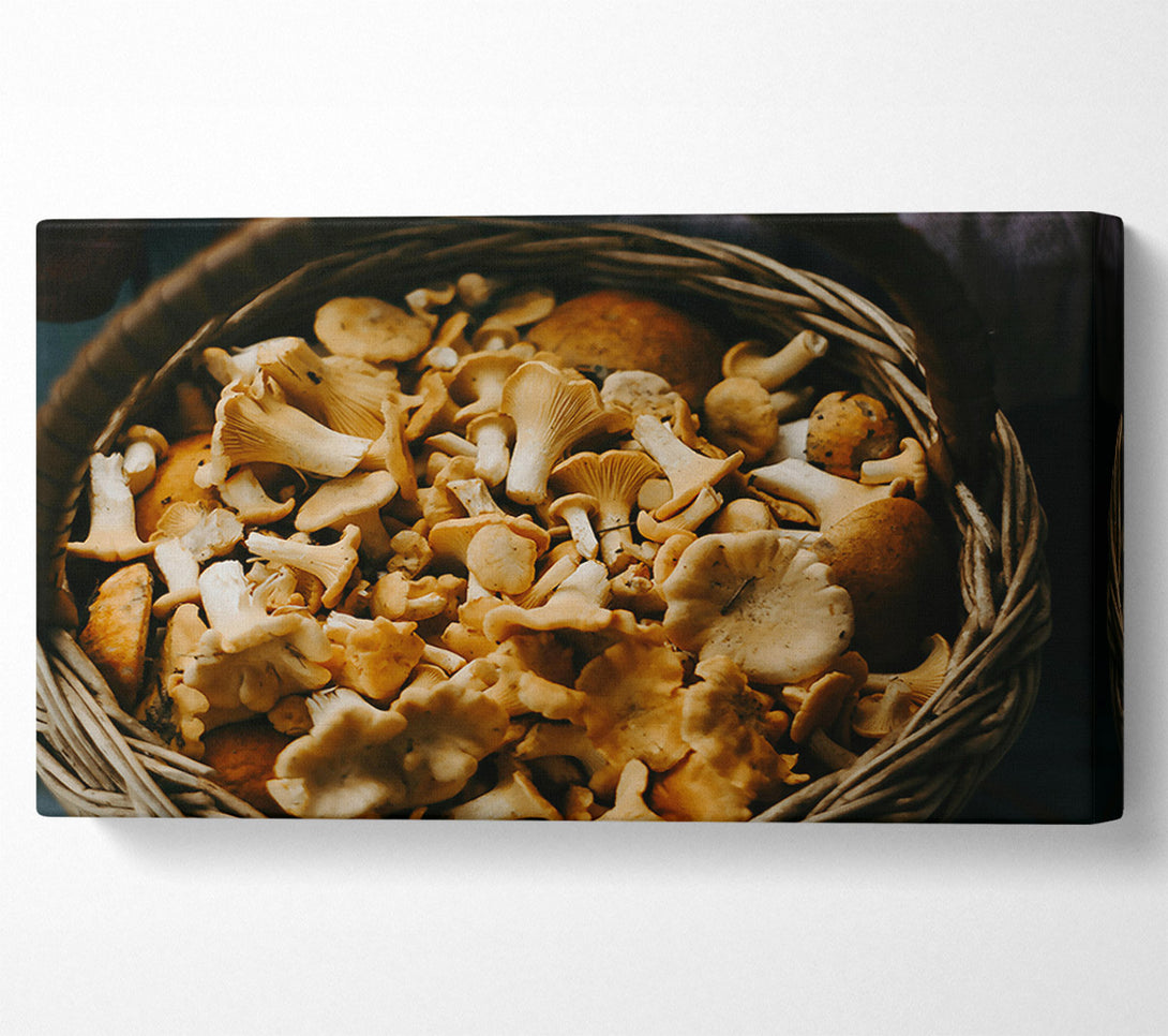  A Canvas Print of Golden Chanterelle Harvest Canvas Art