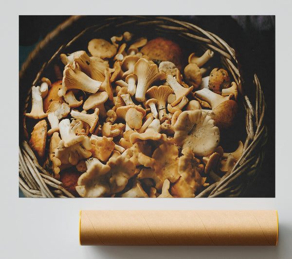 Golden Chanterelle Harvest Poster